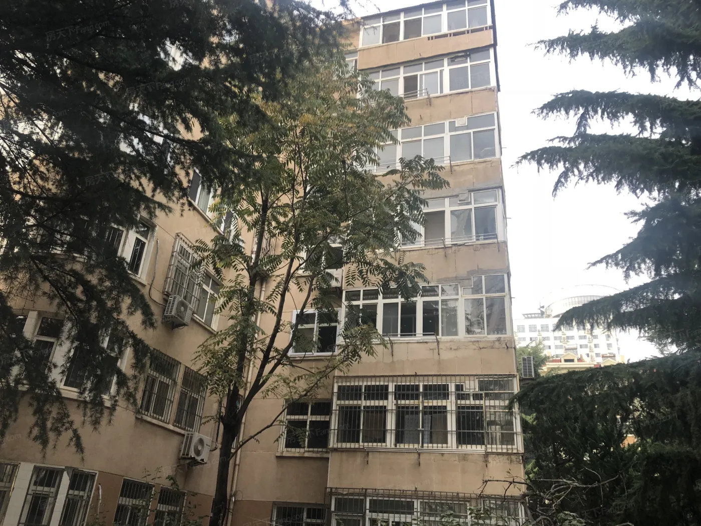 泰兴路小区3室1厅1卫南北朝向2900.00元/月出租