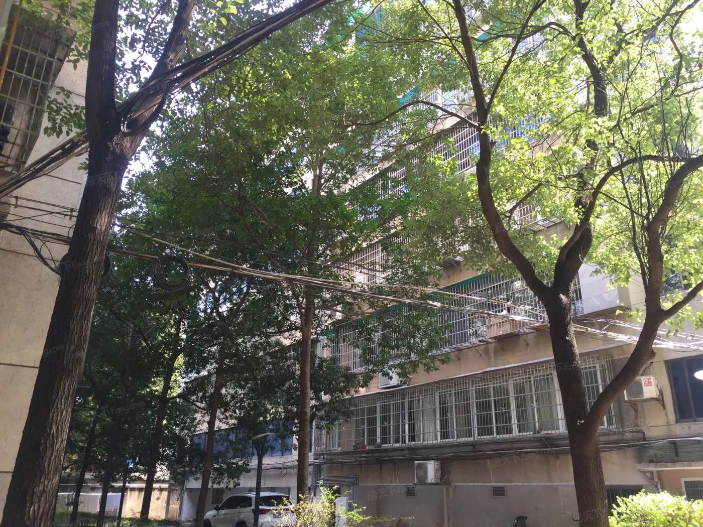 整租·紫薇公寓 3室2厅 南