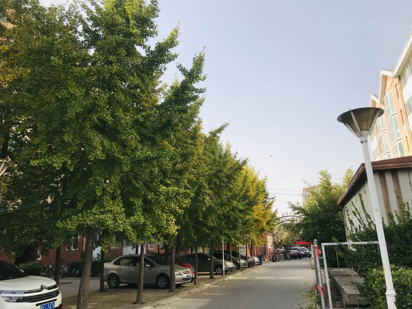地税小区(假日花园)实景图