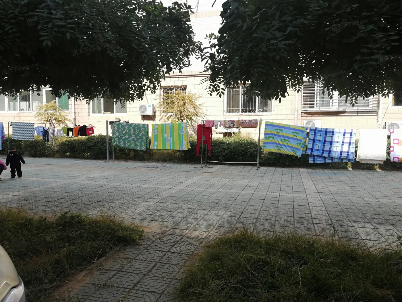 康泽园北区实景图