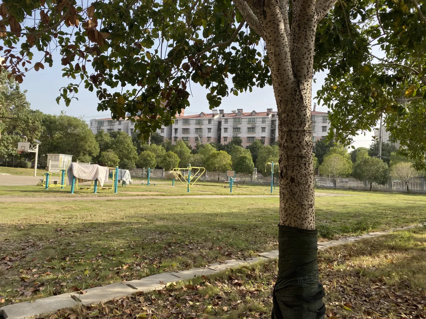 长华小区实景图