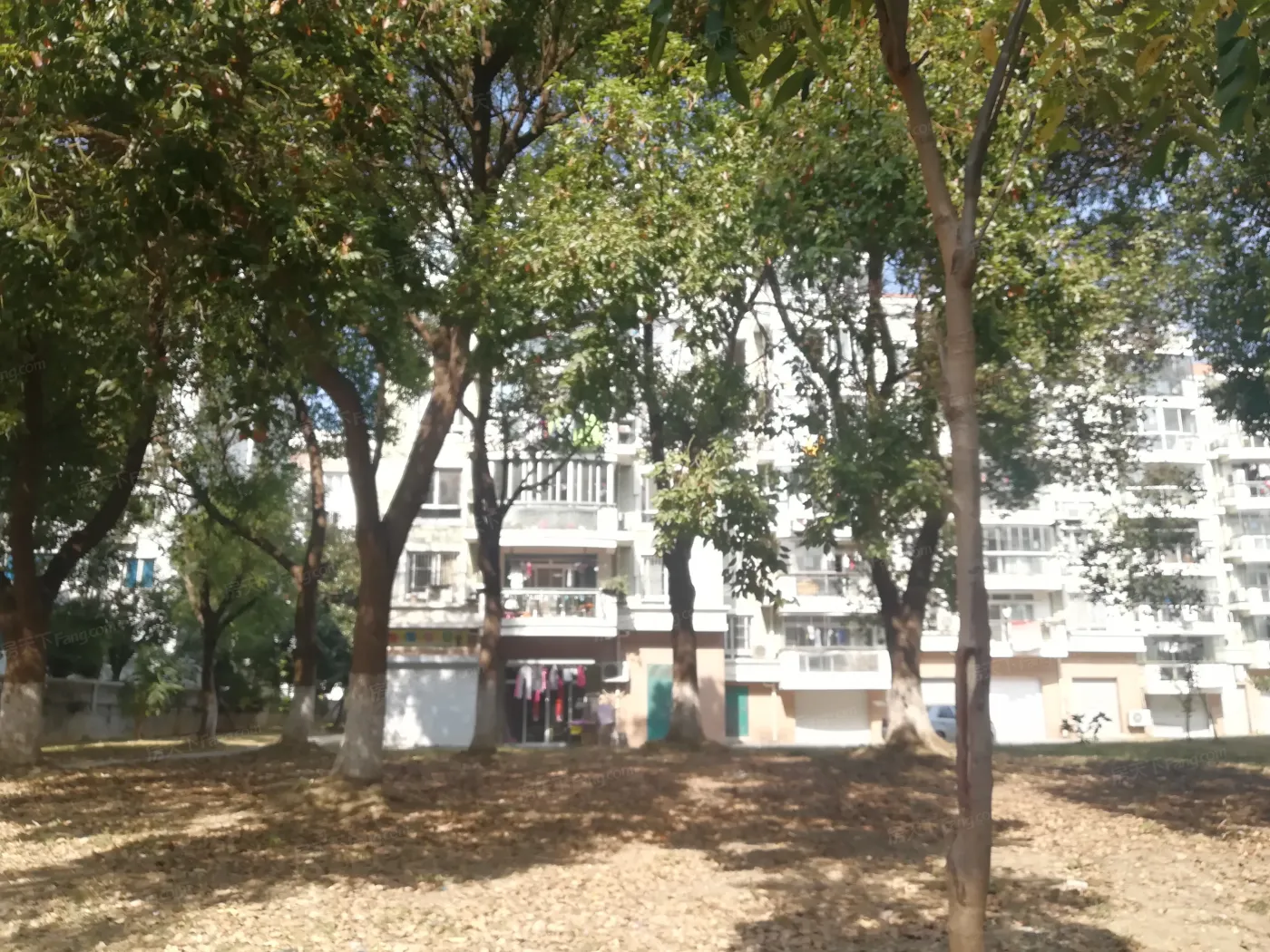 世纪花园实景图