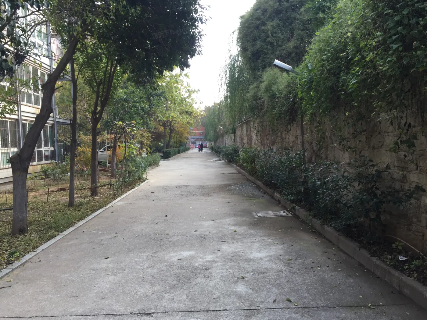 槐花园小区3室2厅1卫南北朝向2000.00元/月出租