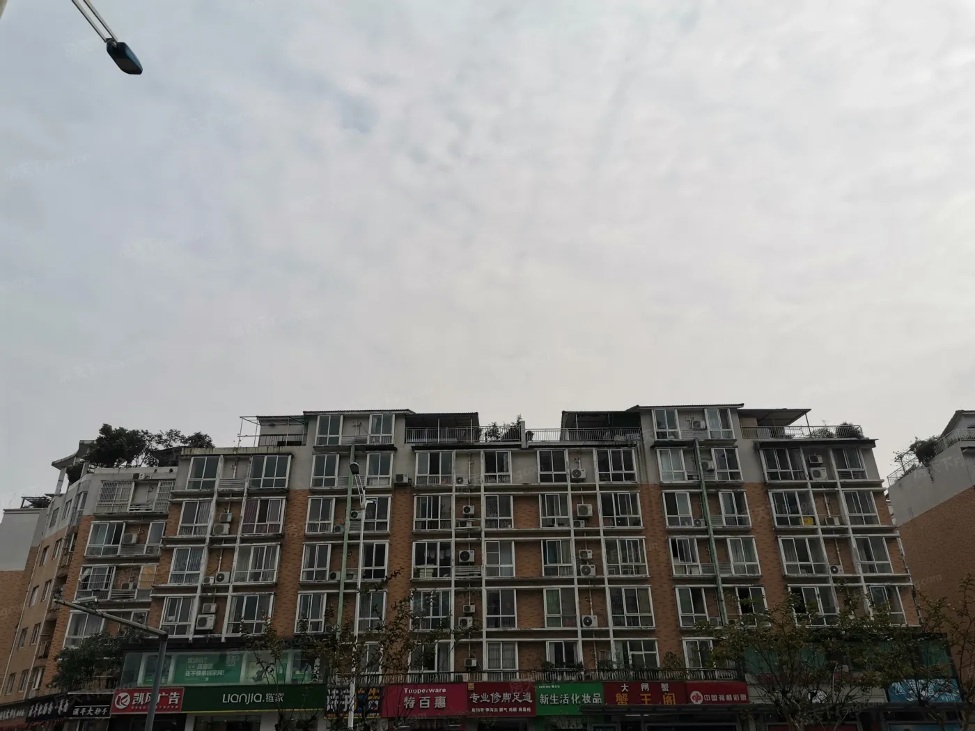 整租·新科花园 3室2厅 西