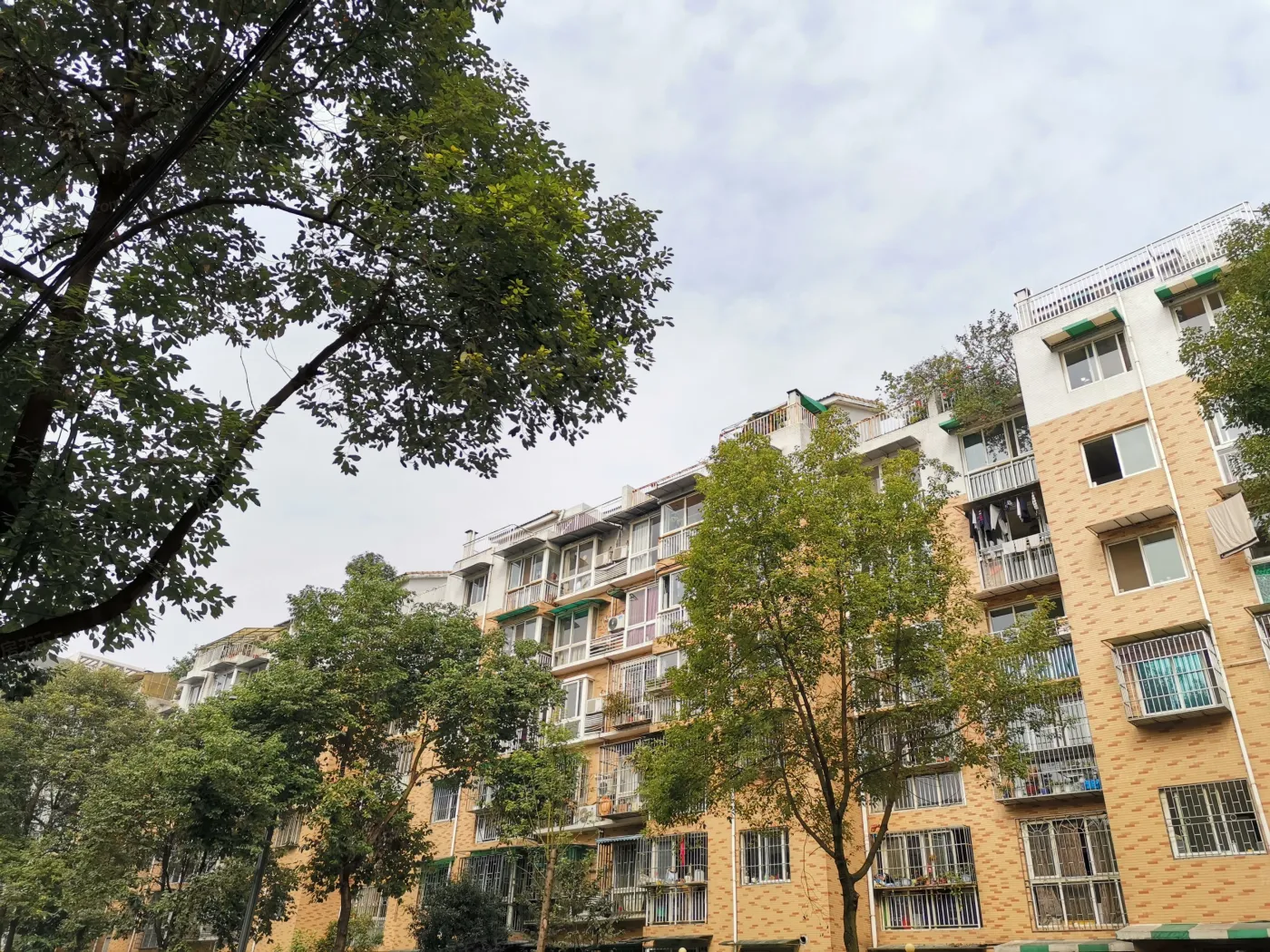 新科花园2室1厅1卫东朝向1500.00元/月出租