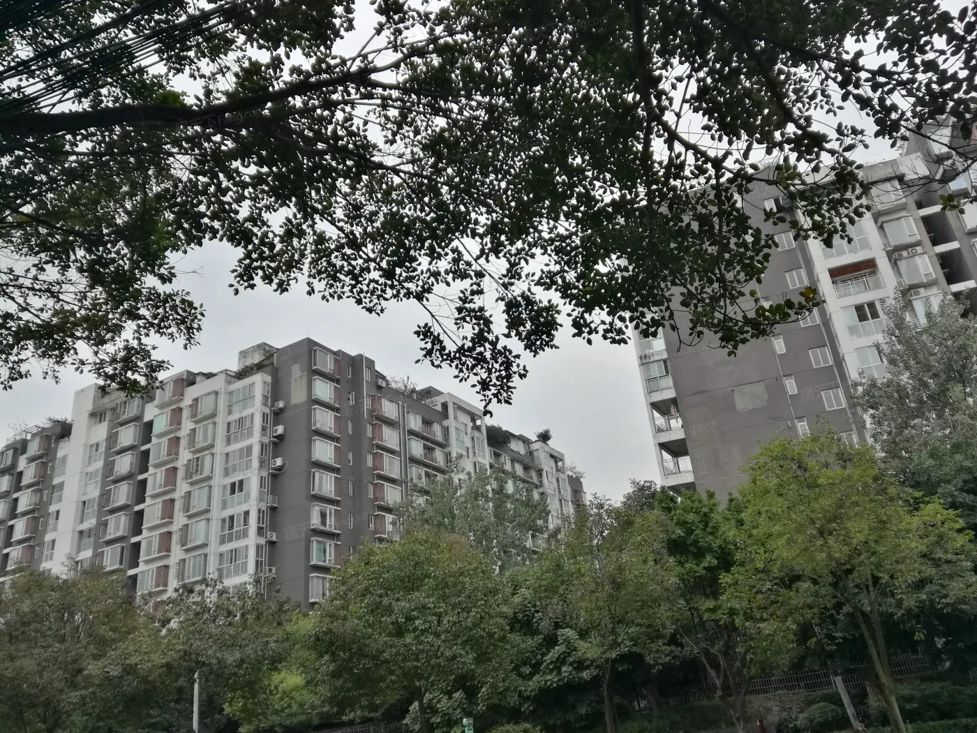 康郡3室2厅2卫南朝向5500.00元/月出租