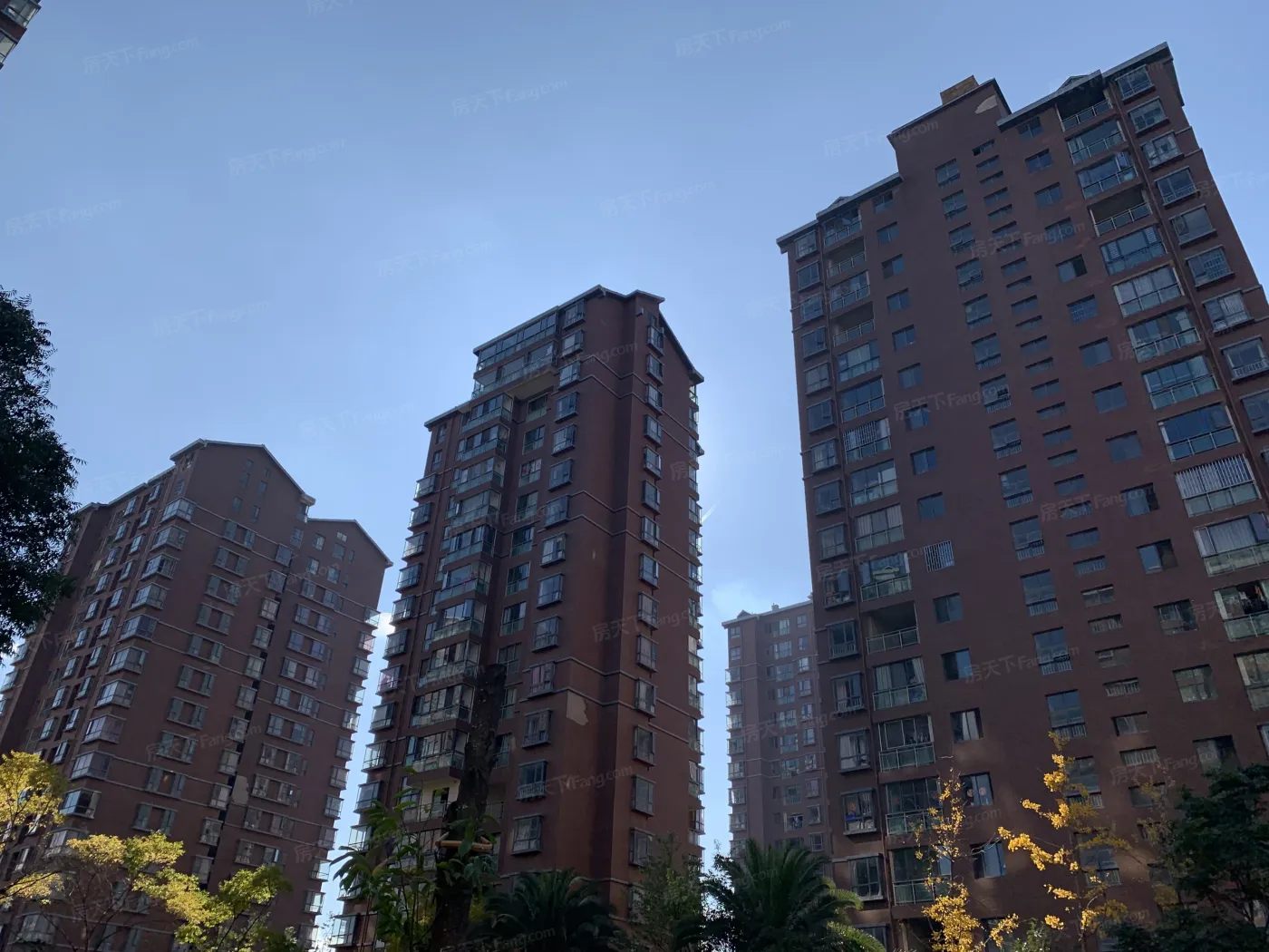 丹槿园3室2厅2卫南北朝向1800.00元/月出租