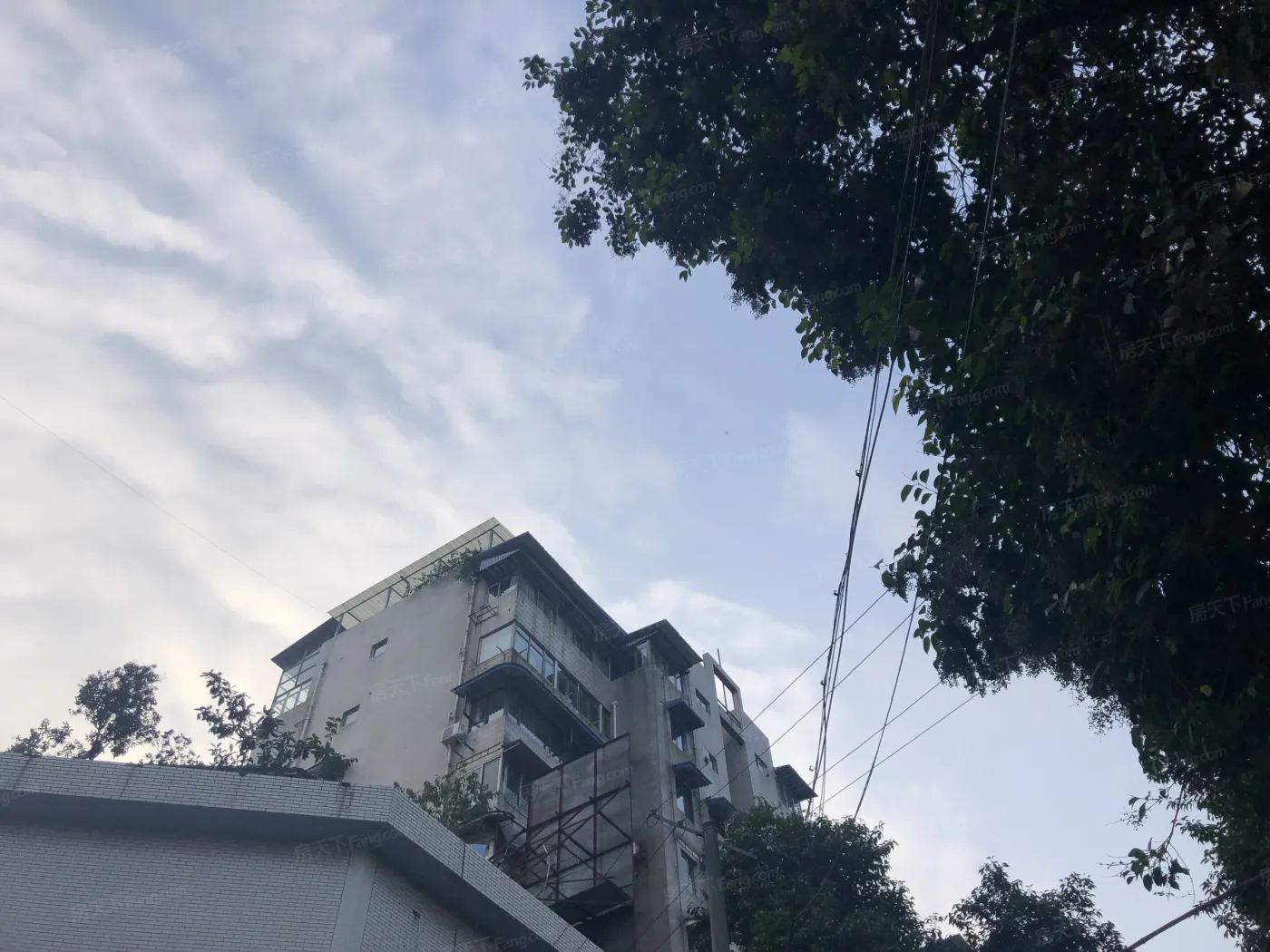 天府花园二期4室2厅2卫南朝向4500.00元/月出租