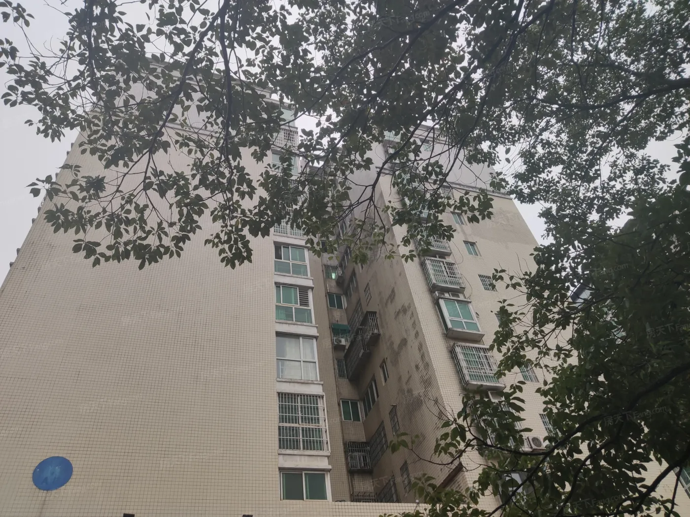 宏华花苑3室2厅2卫南朝向2600.00元/月出租