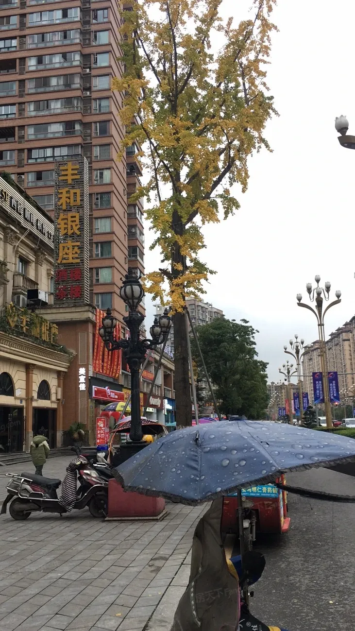 天来豪庭6室4厅3卫西南朝向4300.00元/月出租