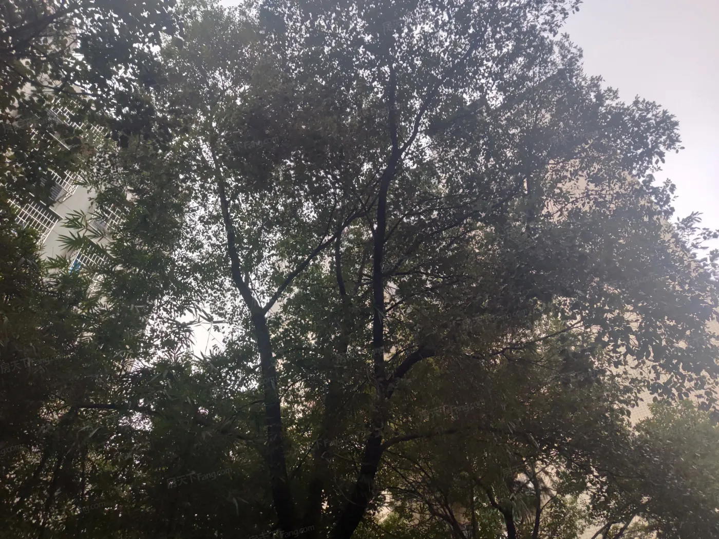 宏华花苑3室2厅2卫南朝向2400.00元/月出租