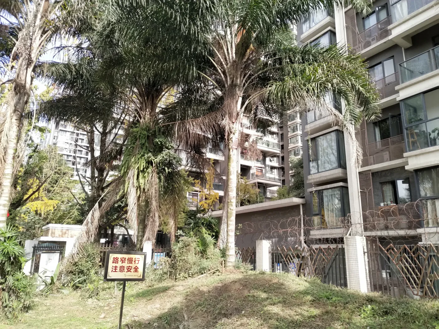 棕榈南岸2室1厅1卫东南朝向2800.00元/月出租