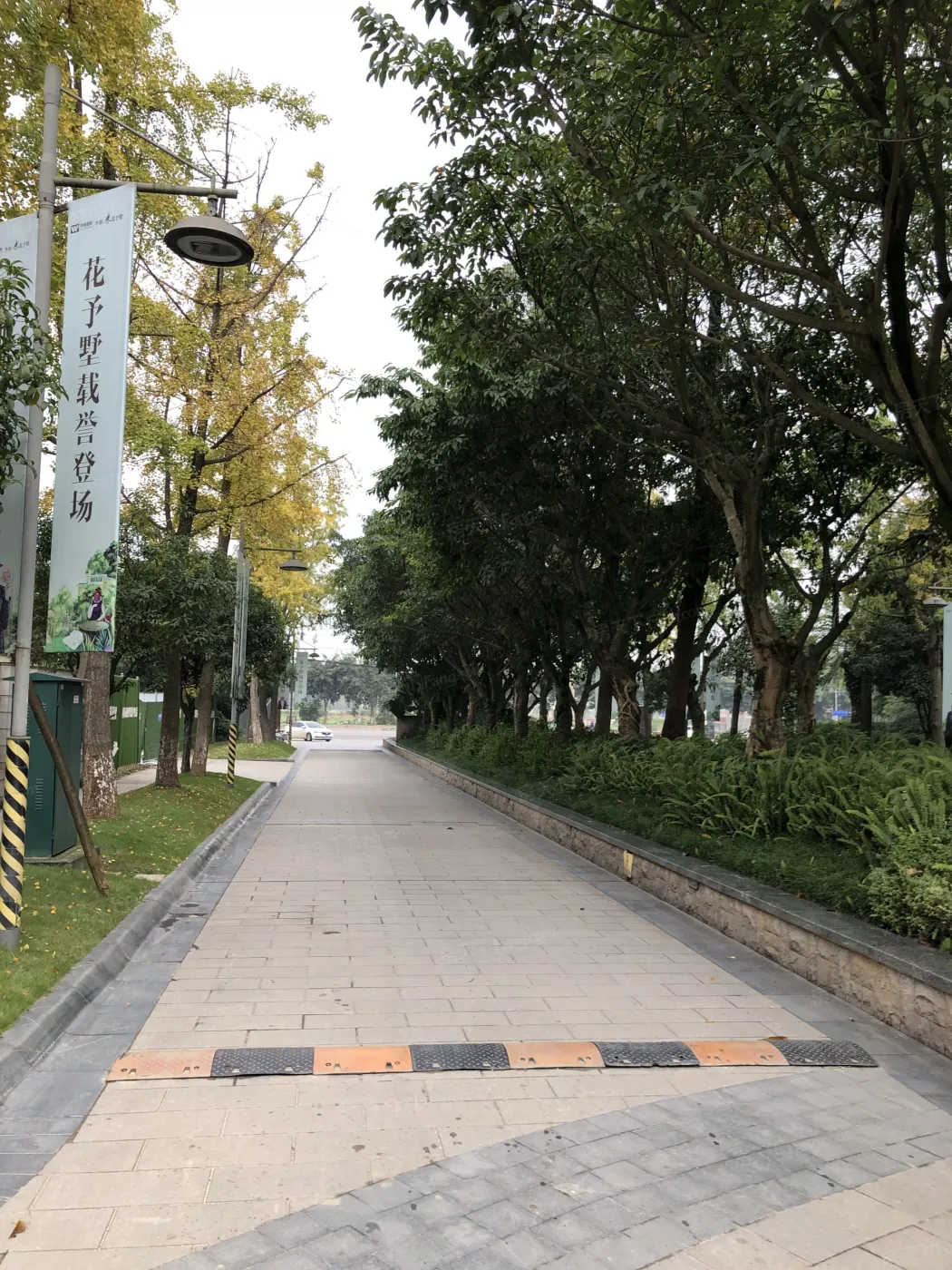 整租·华新花予墅 3室2厅 东南