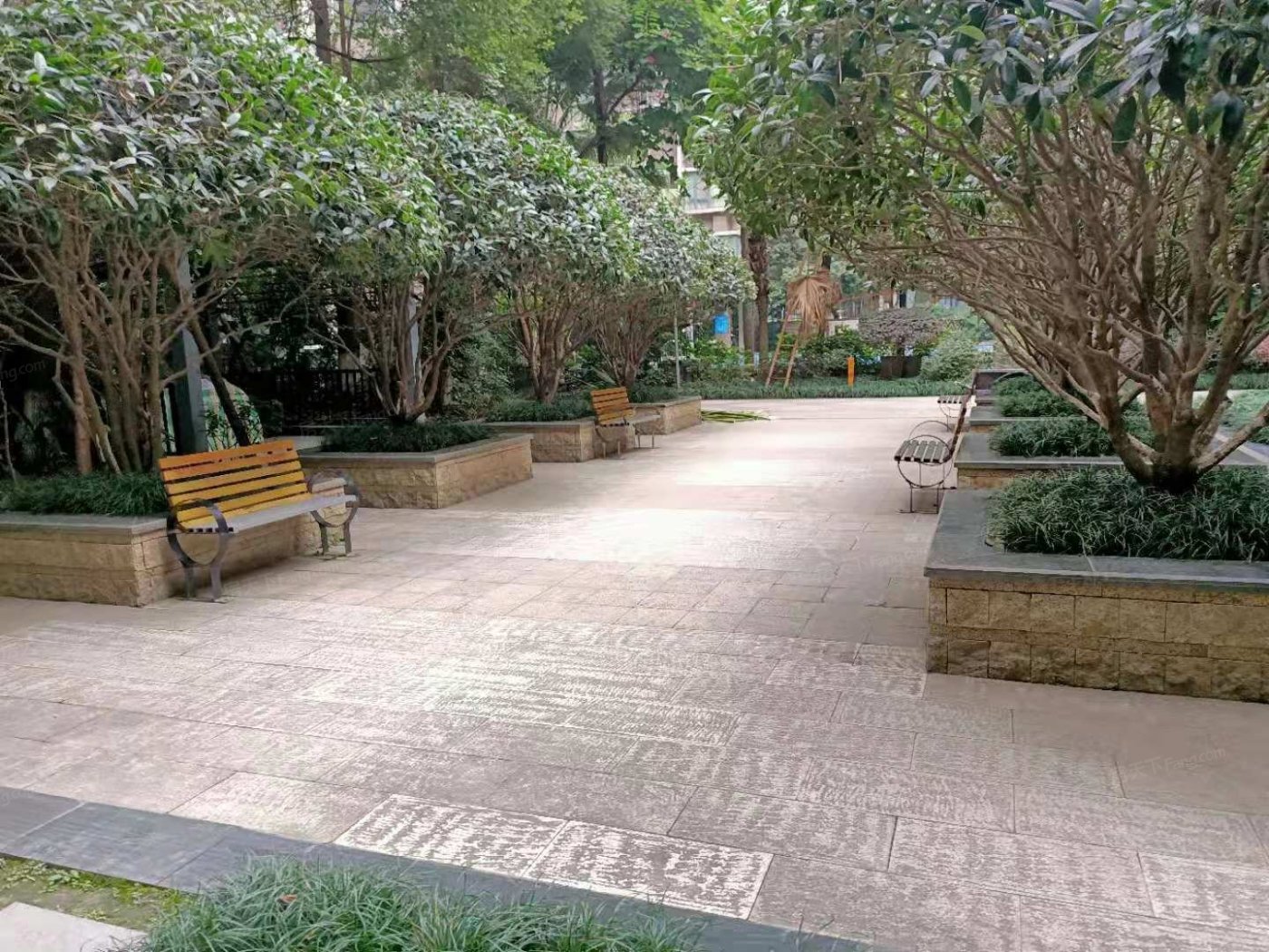 整租·鸿阁一号 2室1厅 南