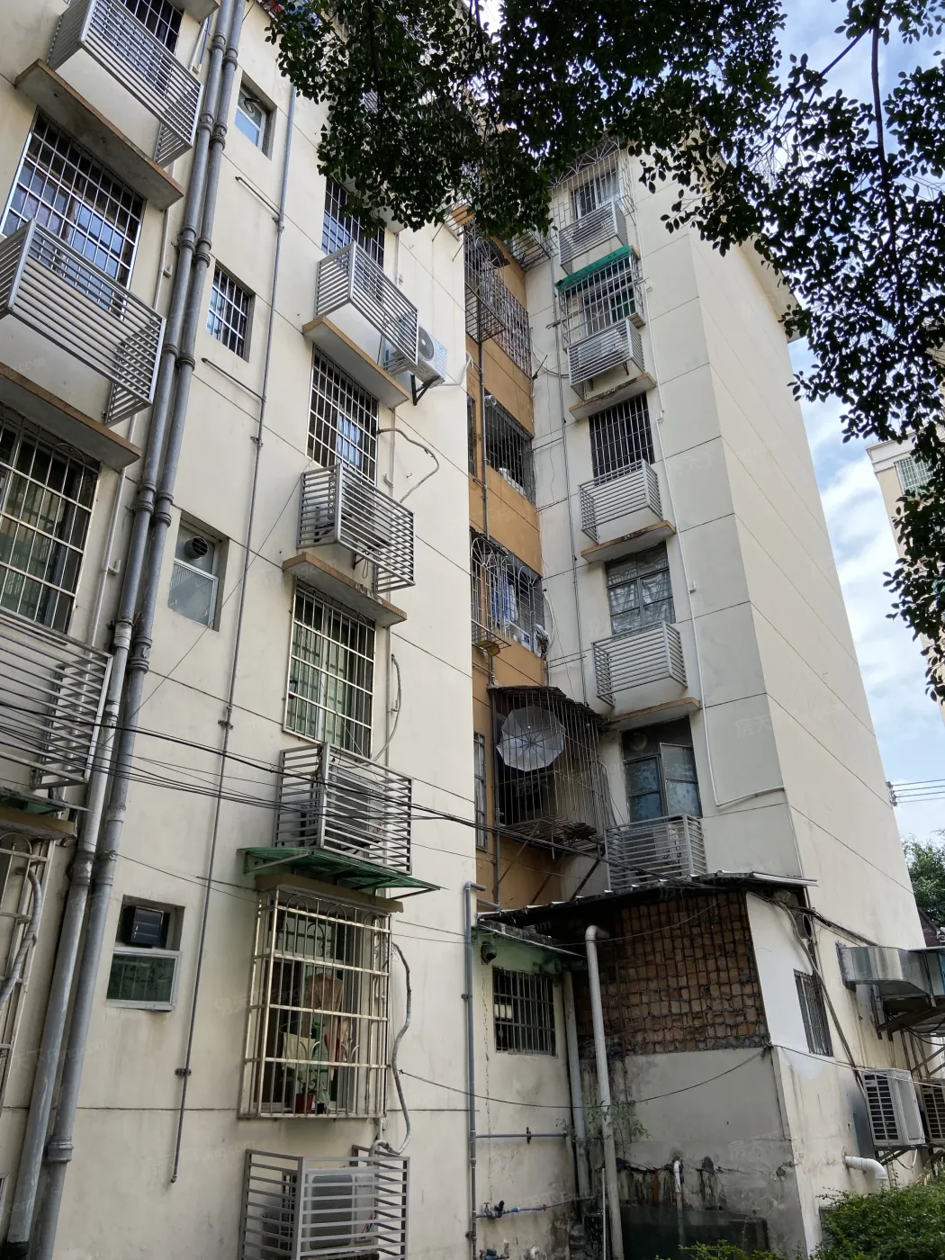 云东小区1室1厅1卫东朝向1600.00元/月出租