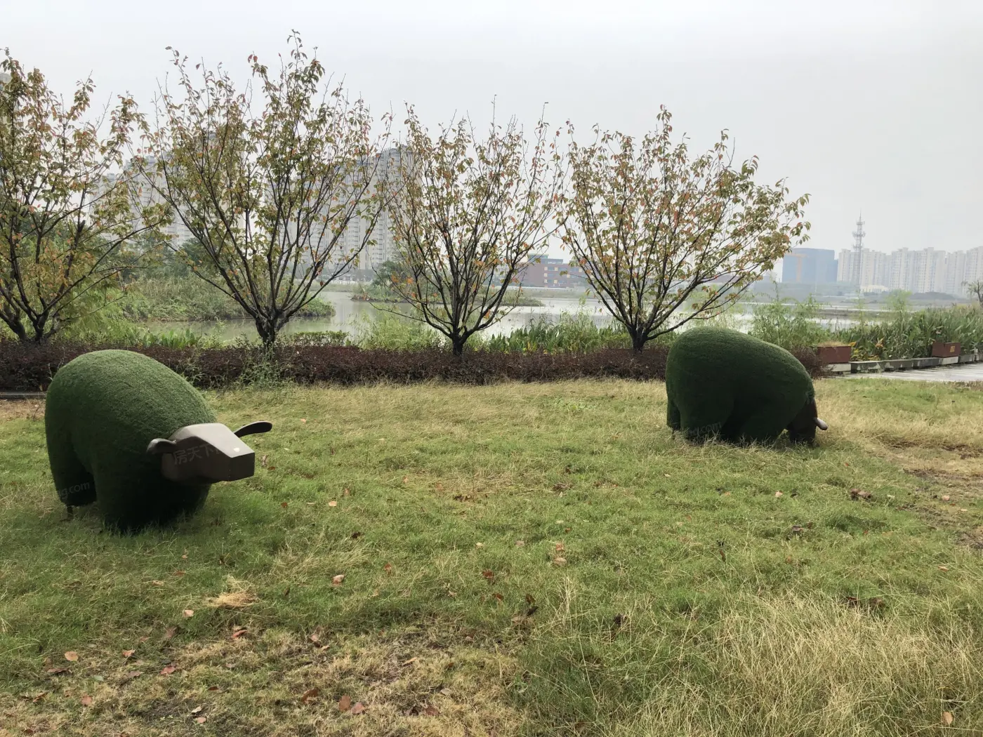 雅戈尔新湖景花苑