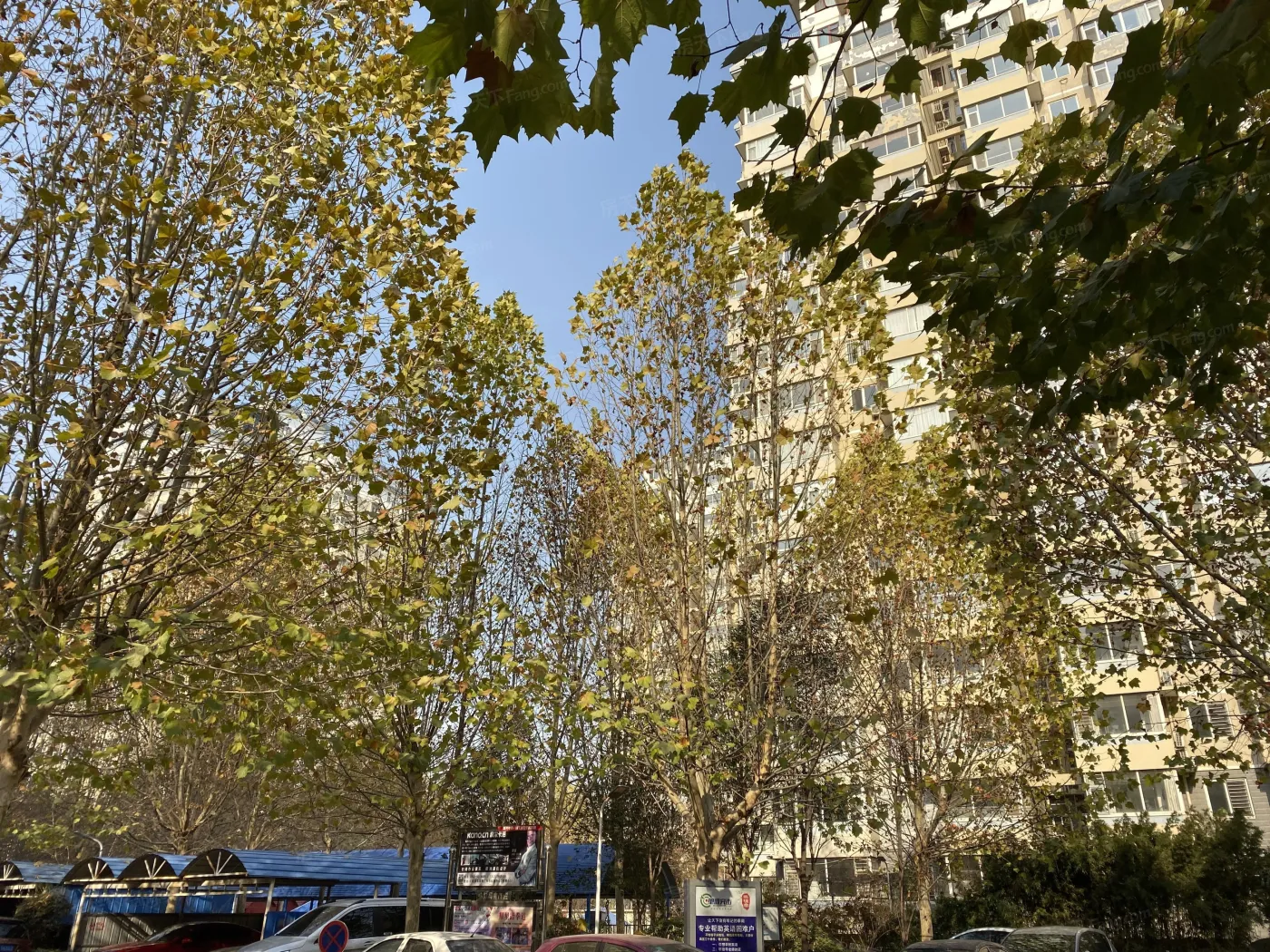 秀兰锦观城实景图