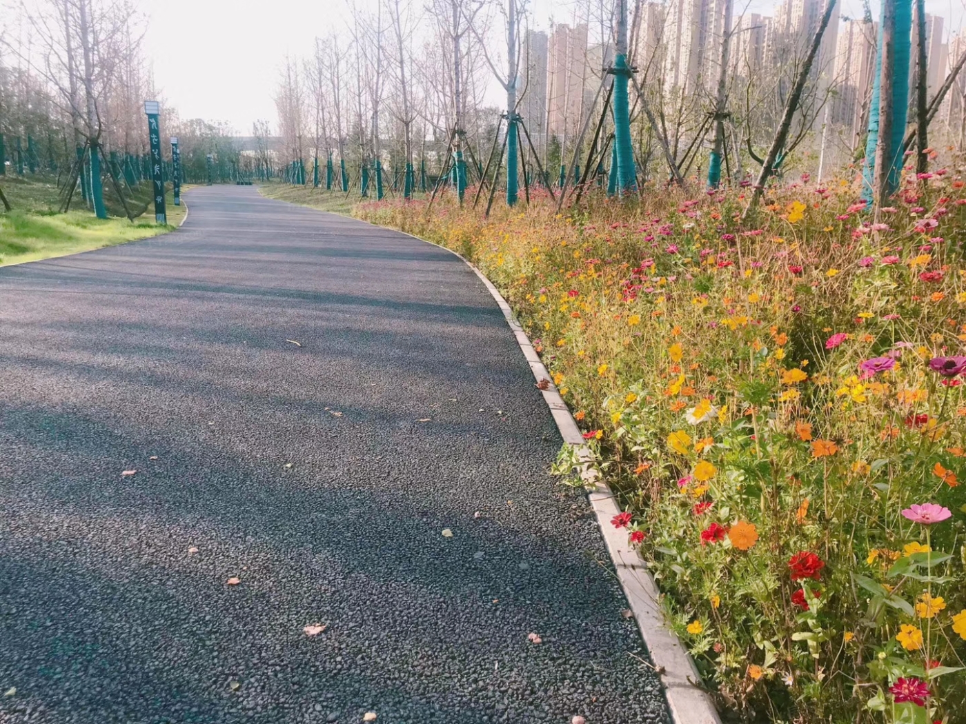 实景图:小区实景