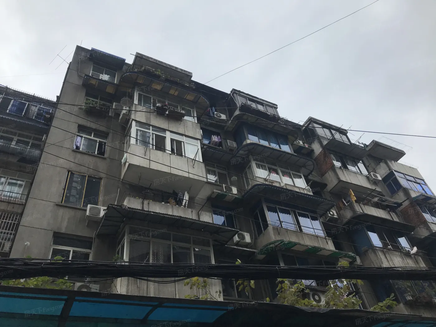 柏林春天实景图