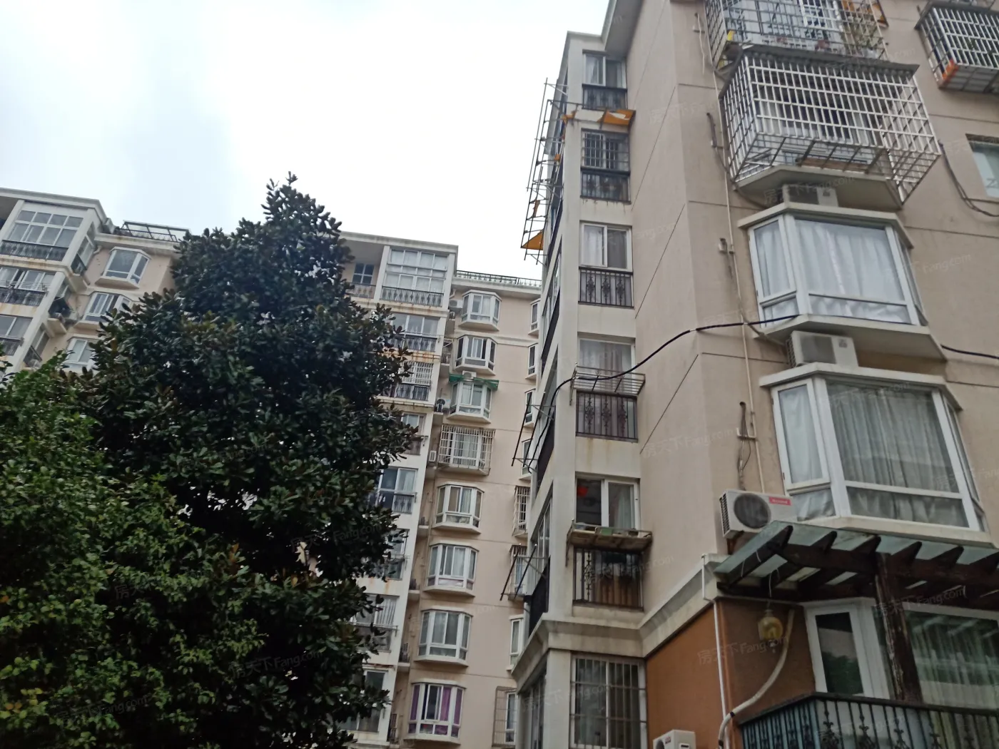 世纪锦秋实景图