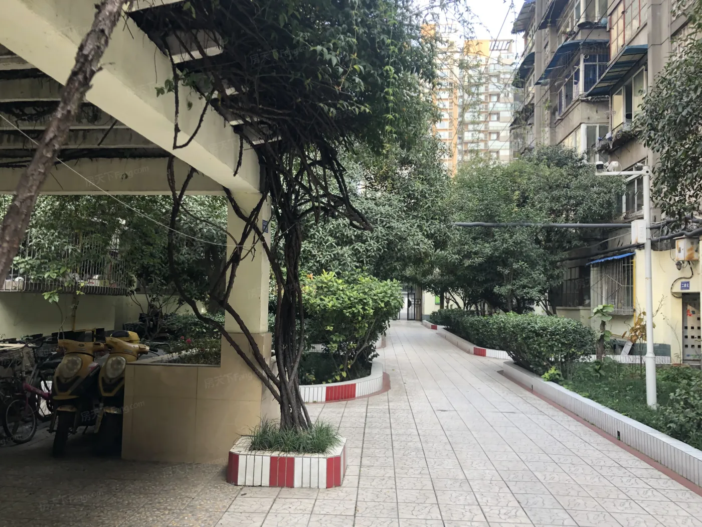 整租·玉林北街8号 3室1厅 东南