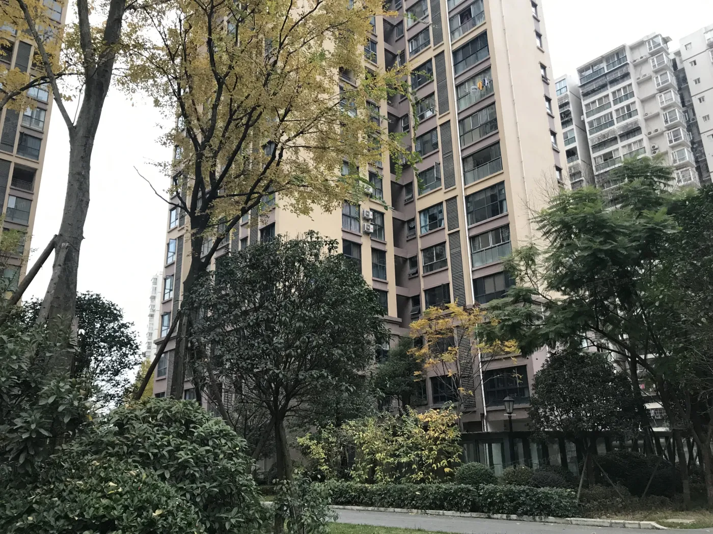 金香领邸2室1厅1卫南朝向2200.00元/月出租