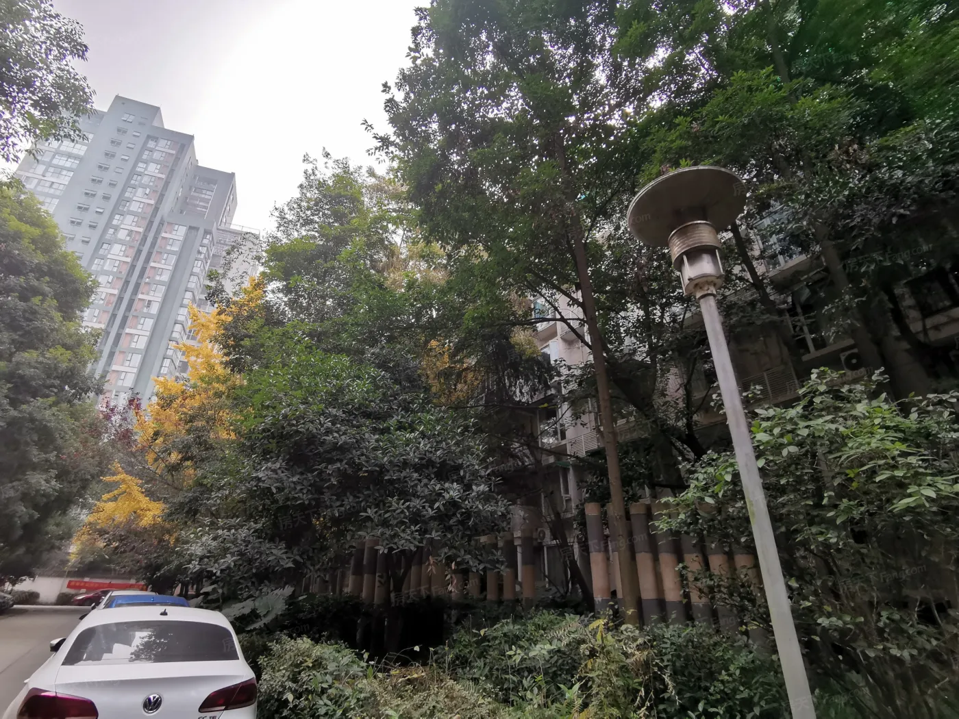 桃李园1室1厅1卫东南朝向2400.00元/月出租