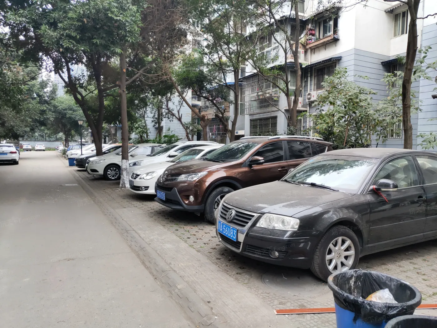 东方丽景实景图