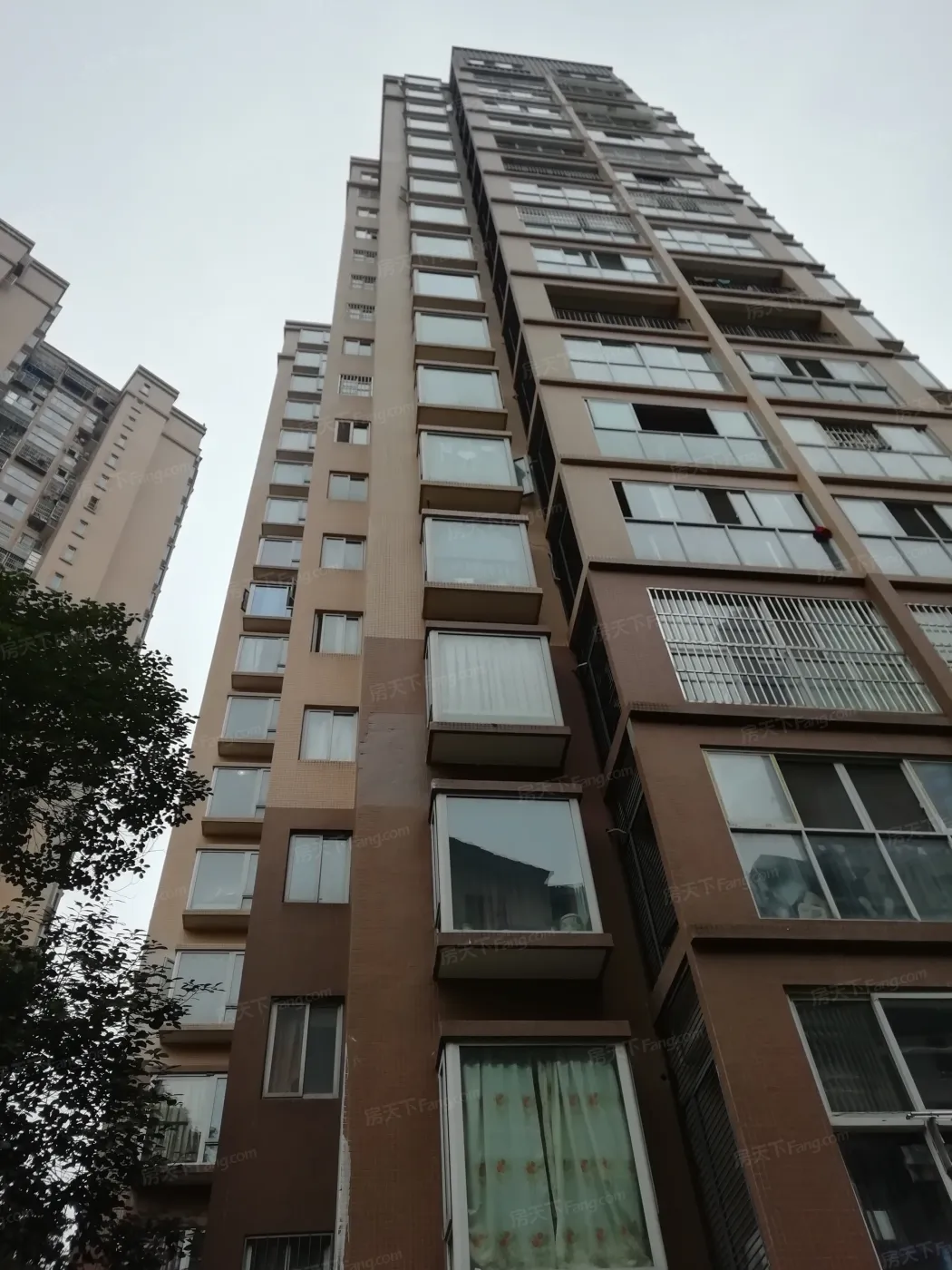 常青藤二期3室2厅1卫东朝向1800.00元/月出租
