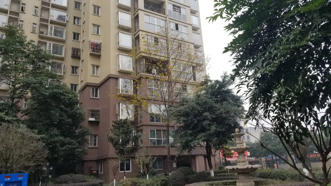 常青藤实景图