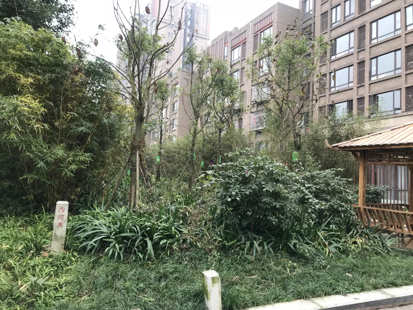 华润银杏华庭3室2厅2卫南朝向2600.00元/月出租