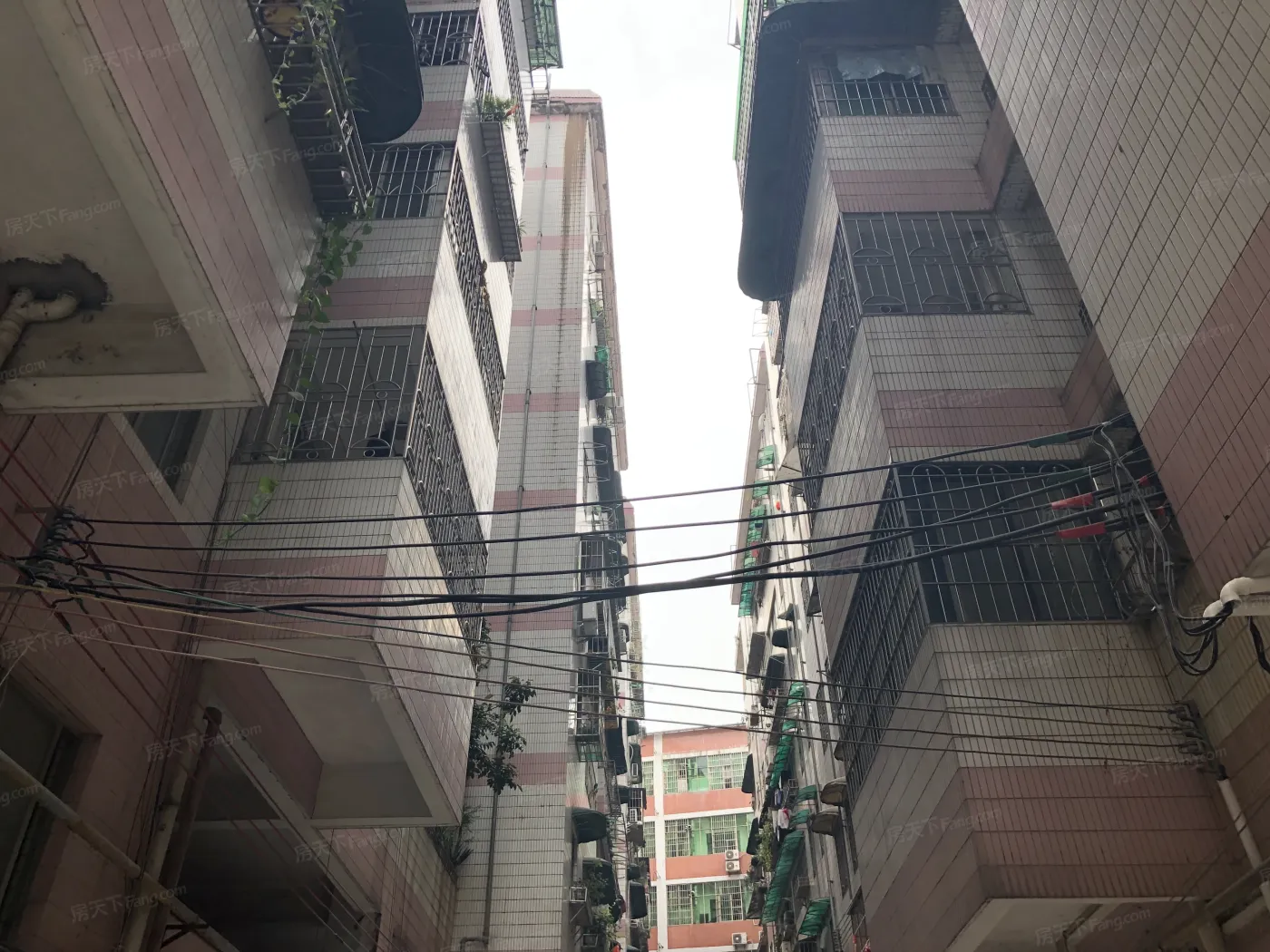 金满家园1室1厅1卫南朝向1000.00元/月出租