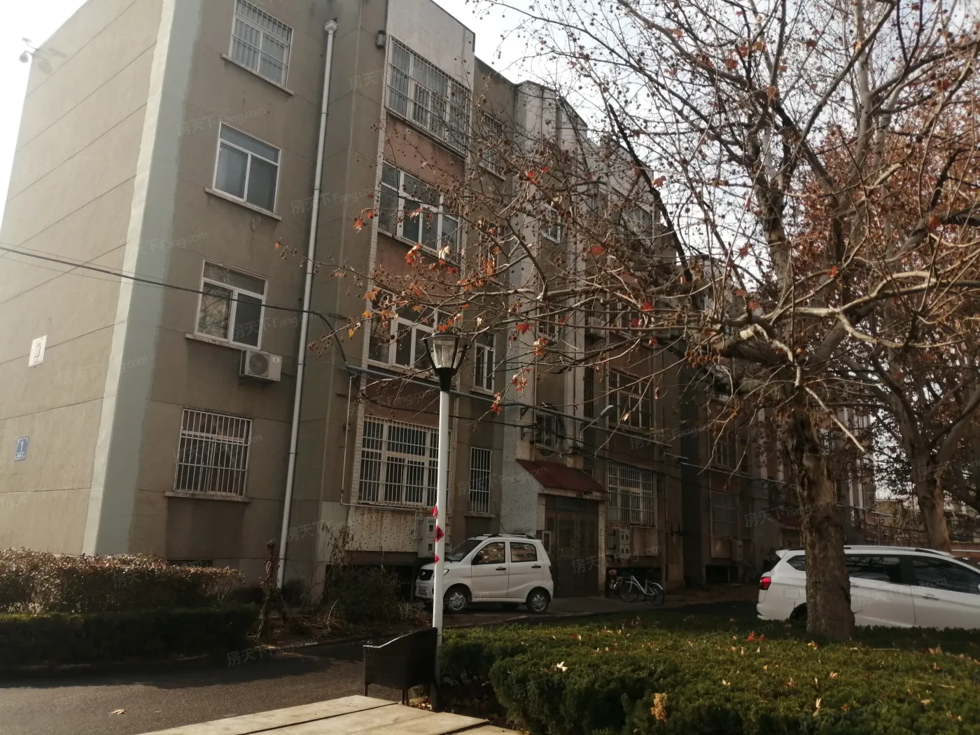 电厂宿舍(樱桃园)2室1厅1卫南北朝向800.00元/月出租