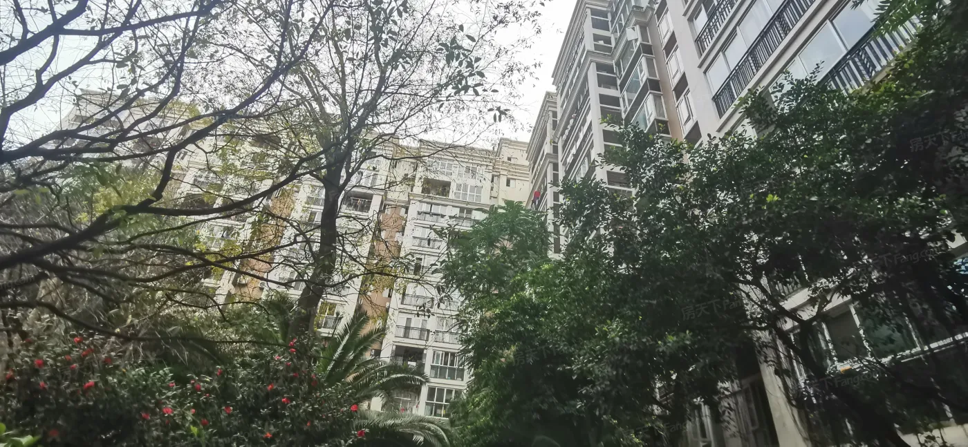 美丽南庭1室1厅1卫东南朝向2400.00元/月出租