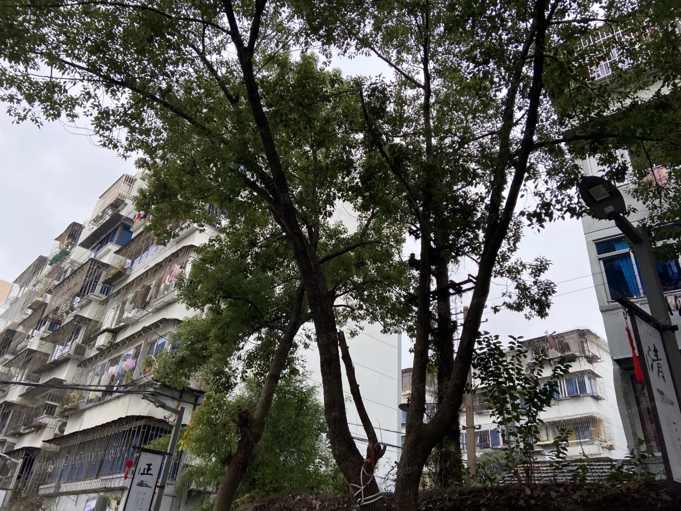 孝闻社区实景图