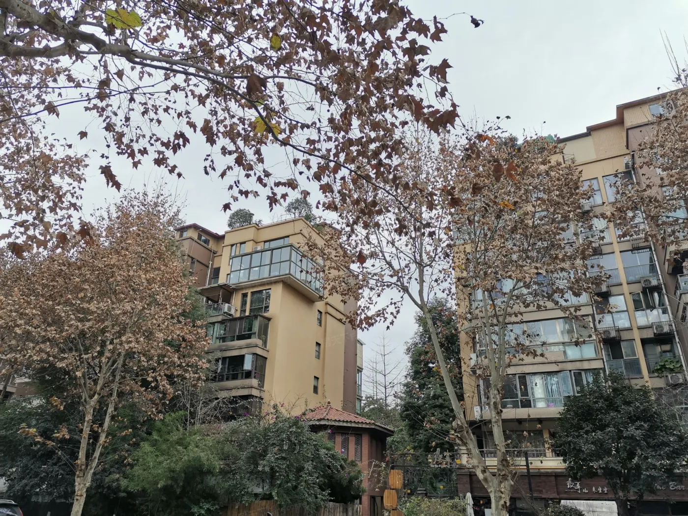 新界二期1室1卫东南朝向1935.00元/月出租