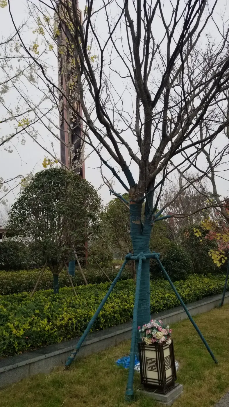 实景图:实景图