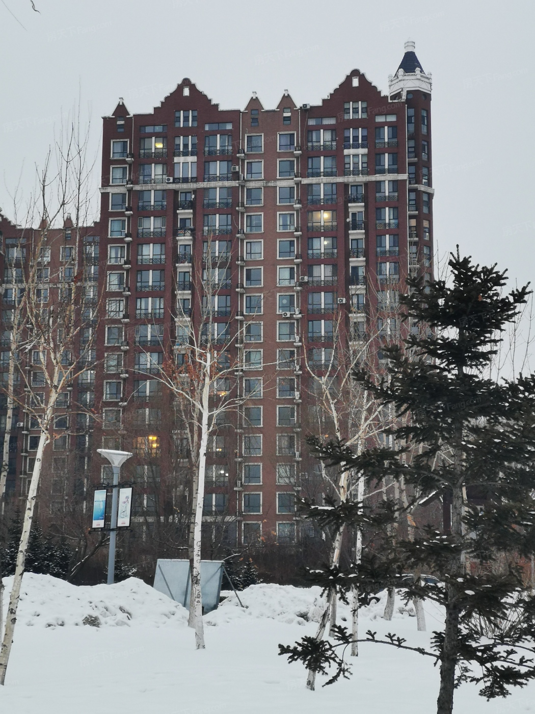 实景图:项目高层雪景