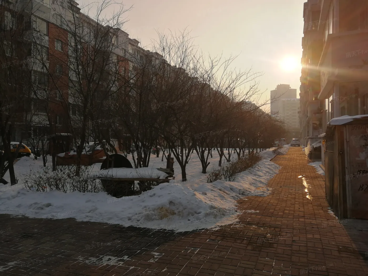 桃源春晖实景图