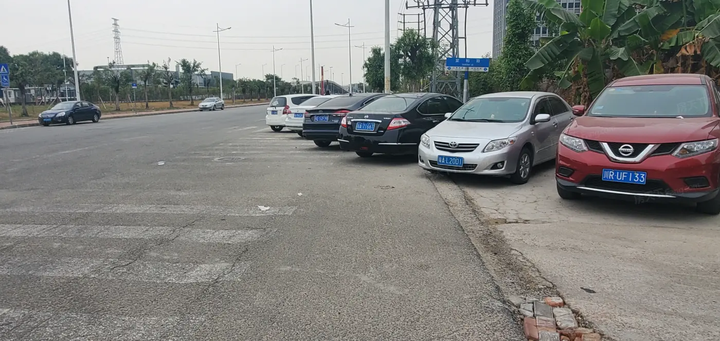 旧区租房，保利悦廷最新房源报告！不要错过！