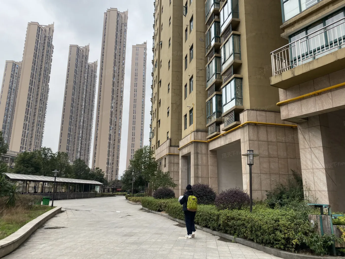 滨江金座1室1厅南朝向15000.00元/月出租