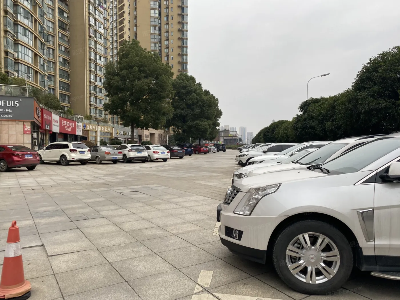 滨江金座3室2厅2卫南朝向2800.00元/月出租