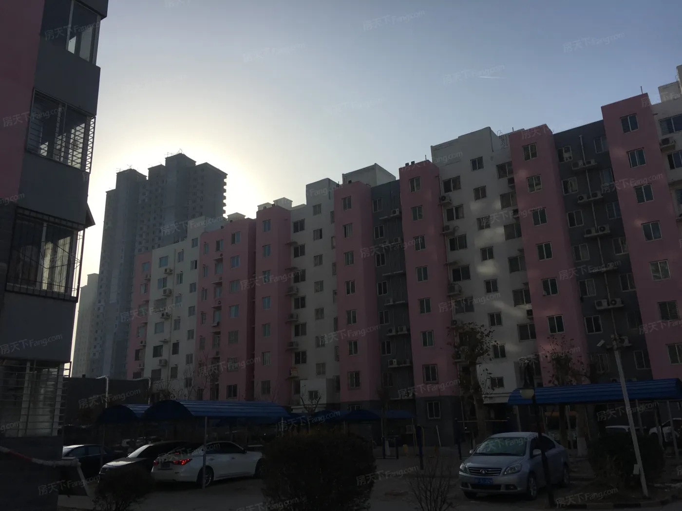 紫横家园西区实景图