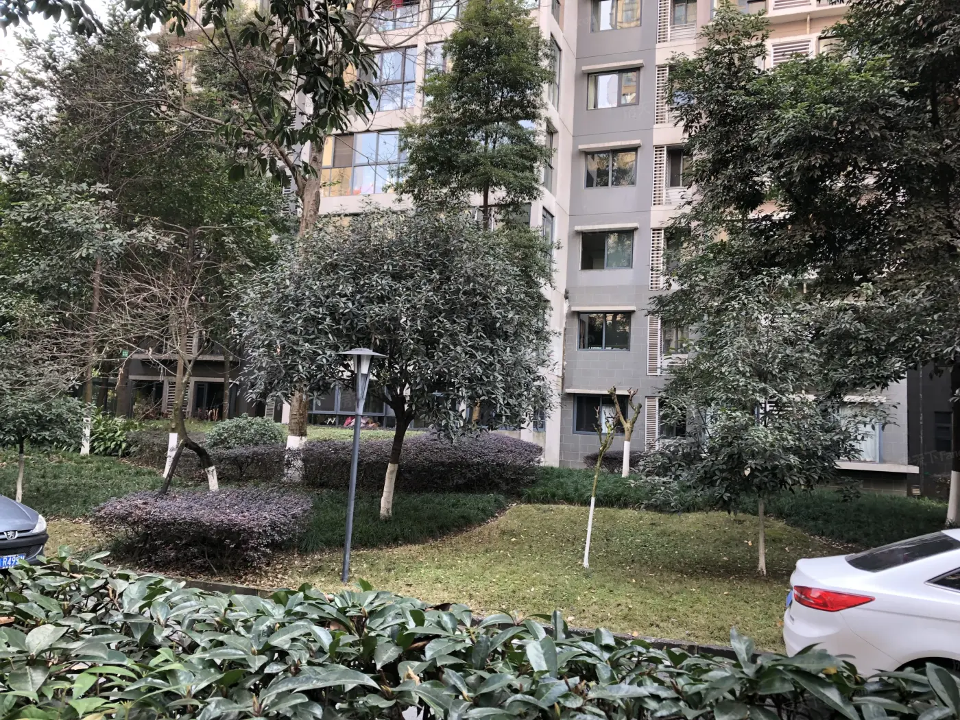 成都高新金融城南苑小区住宅楼盘出租出售信息_成都_3