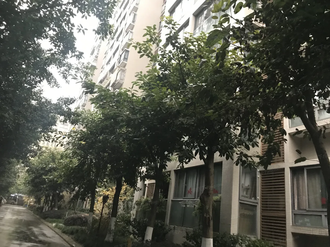 金沙兰亭3室2厅2卫西北朝向3500.00元/月出租