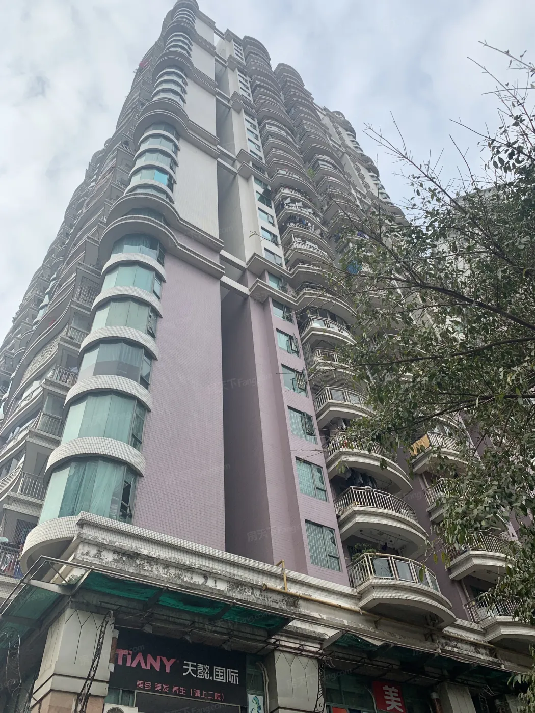 荔港南湾2室1厅1卫东朝向3300.00元/月出租