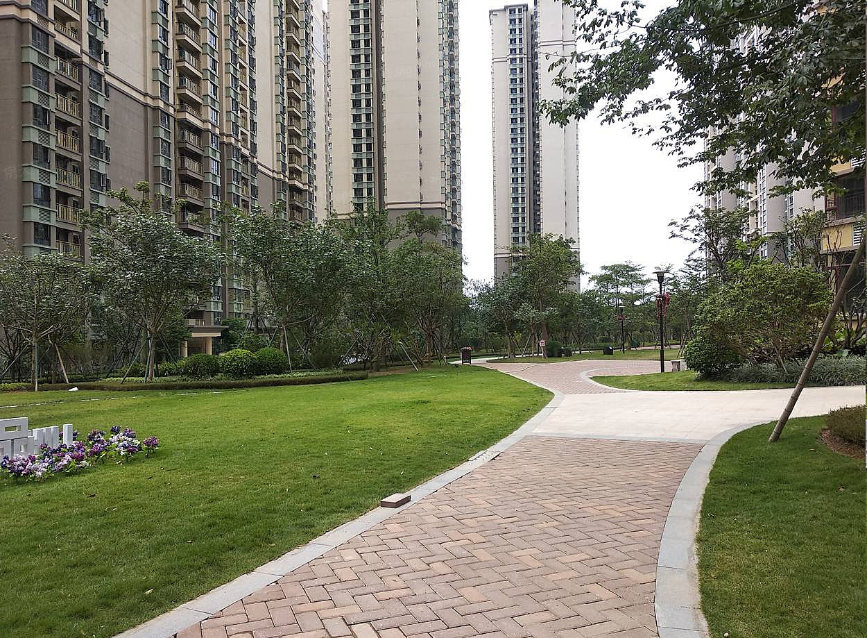 惠阳雅居乐花园1室1厅1卫东南朝向1000.00元/月出租