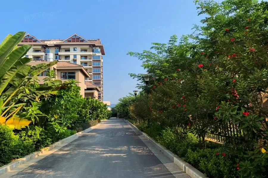 实景图:社区园林实景