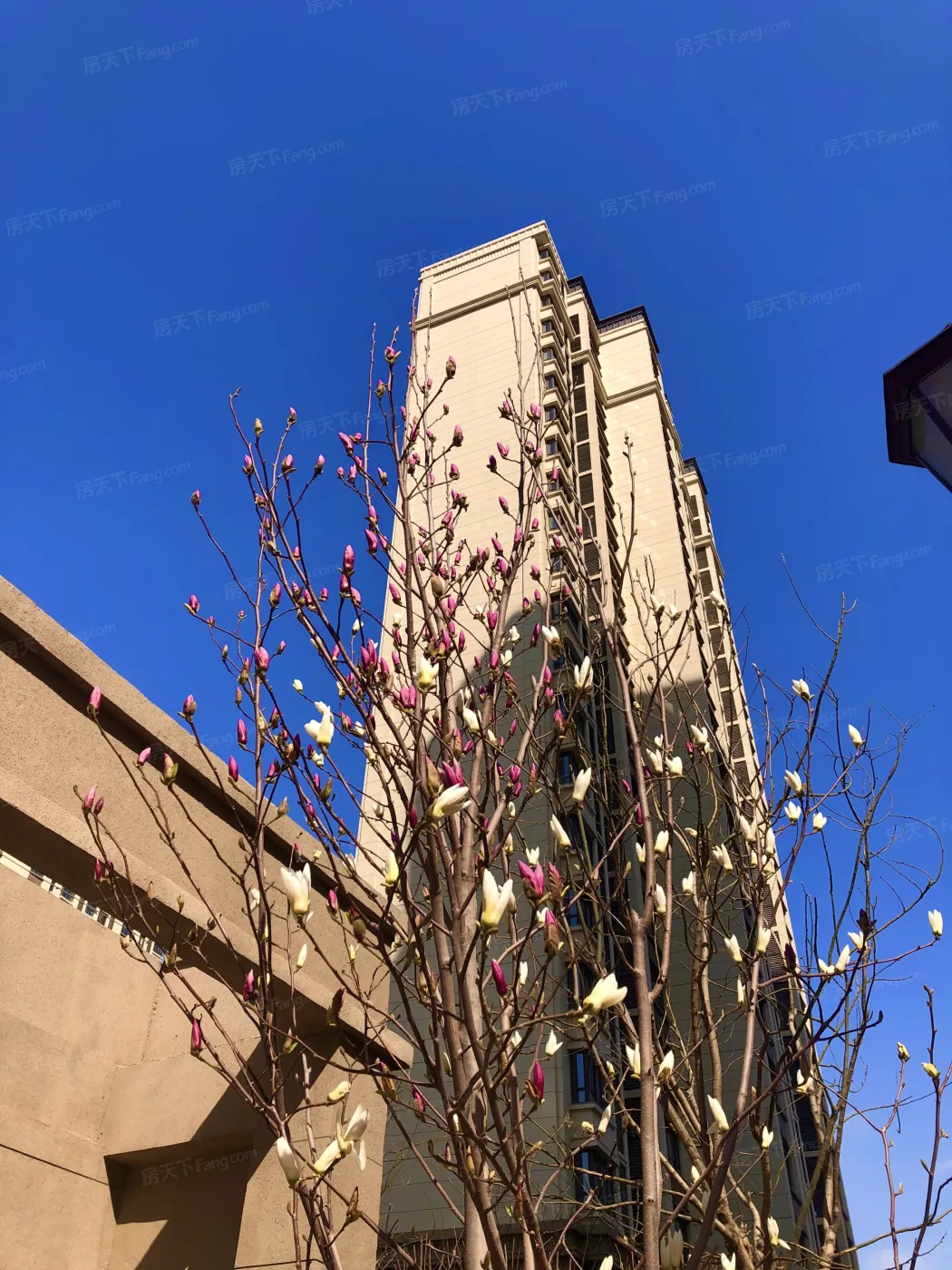 整租·路劲隽澜湾绿境华庭2室1厅