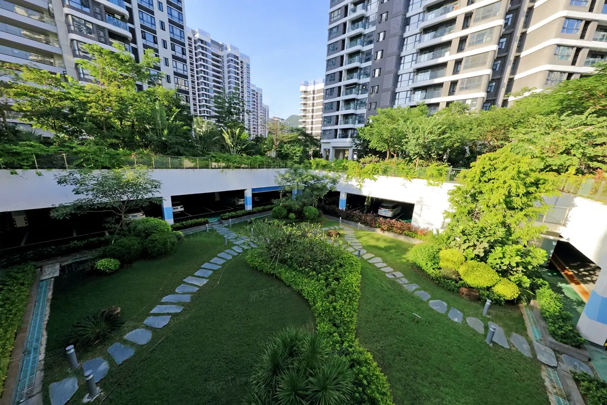 实景图:小区园林